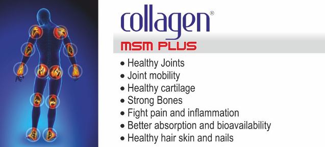 Collagen MSM