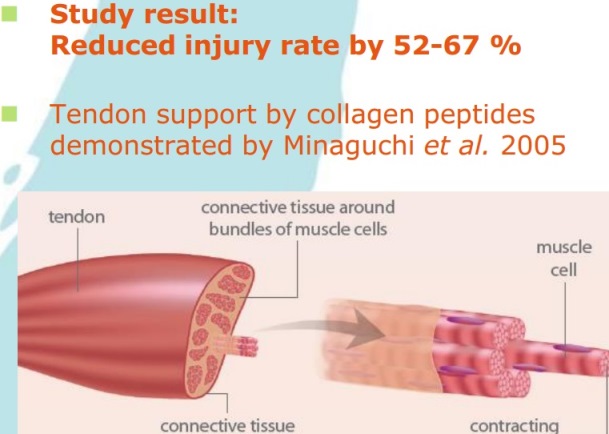 Reduced injury rates