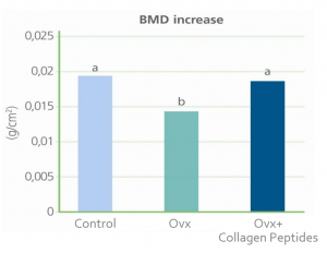 BMD